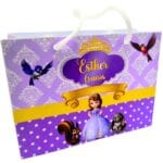 Sacola Surpresa Princesa Sofia Personalizada - Kit 10 Unidades