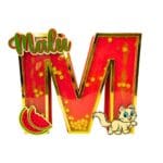 Letra M 3d Artesanal Personalizada | Enfeite Shaker com Pérolas